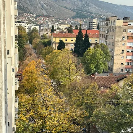 Sofi דירה